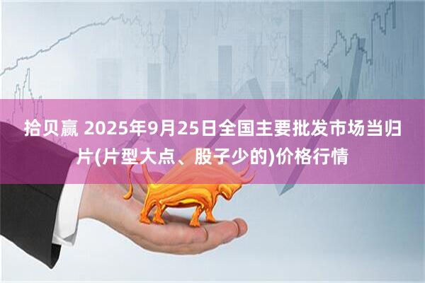 拾贝赢 2025年9月25日全国主要批发市场当归片(片型大点、股子少的)价格行情