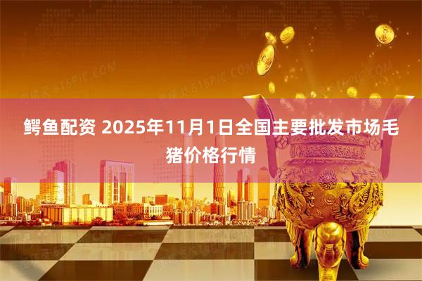 鳄鱼配资 2025年11月1日全国主要批发市场毛猪价格行情