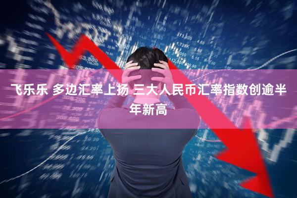飞乐乐 多边汇率上扬 三大人民币汇率指数创逾半年新高