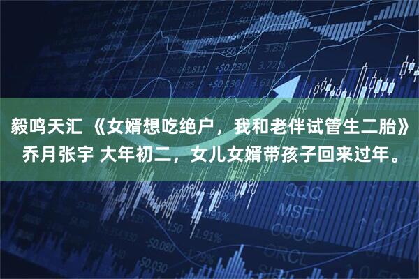 毅鸣天汇 《女婿想吃绝户，我和老伴试管生二胎》乔月张宇 大年初二，女儿女婿带孩子回来过年。